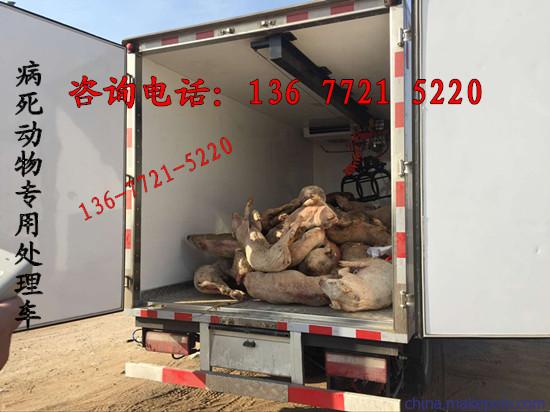 大連市無(wú)害化病死動(dòng)物處理車 專業(yè)畜禽運(yùn)輸車廠家報(bào)價(jià)與服務(wù)指南